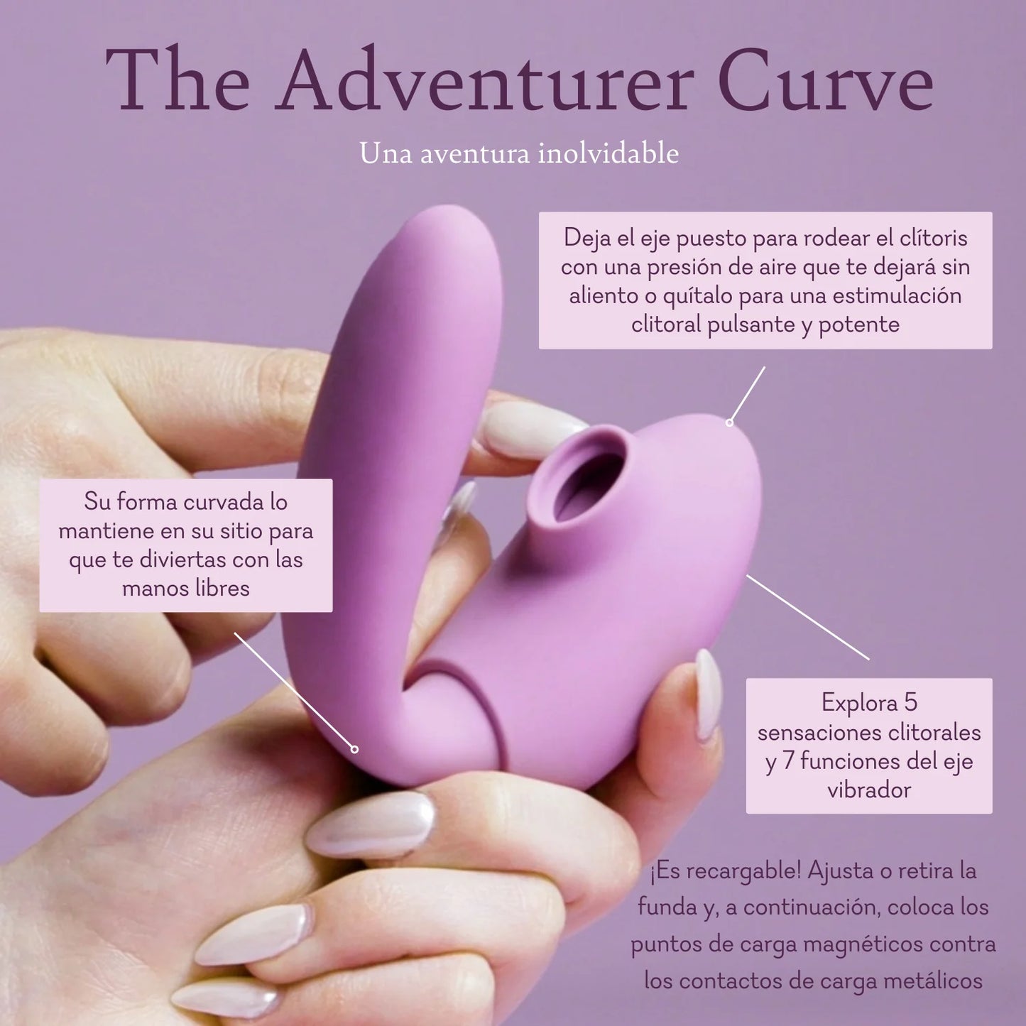 Adventurer 2 Curve - NEW! - BEST SELLER!