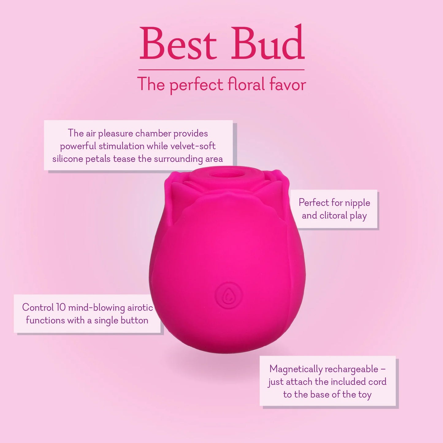 Best Bud Rose - NEW! - BEST SELLER!