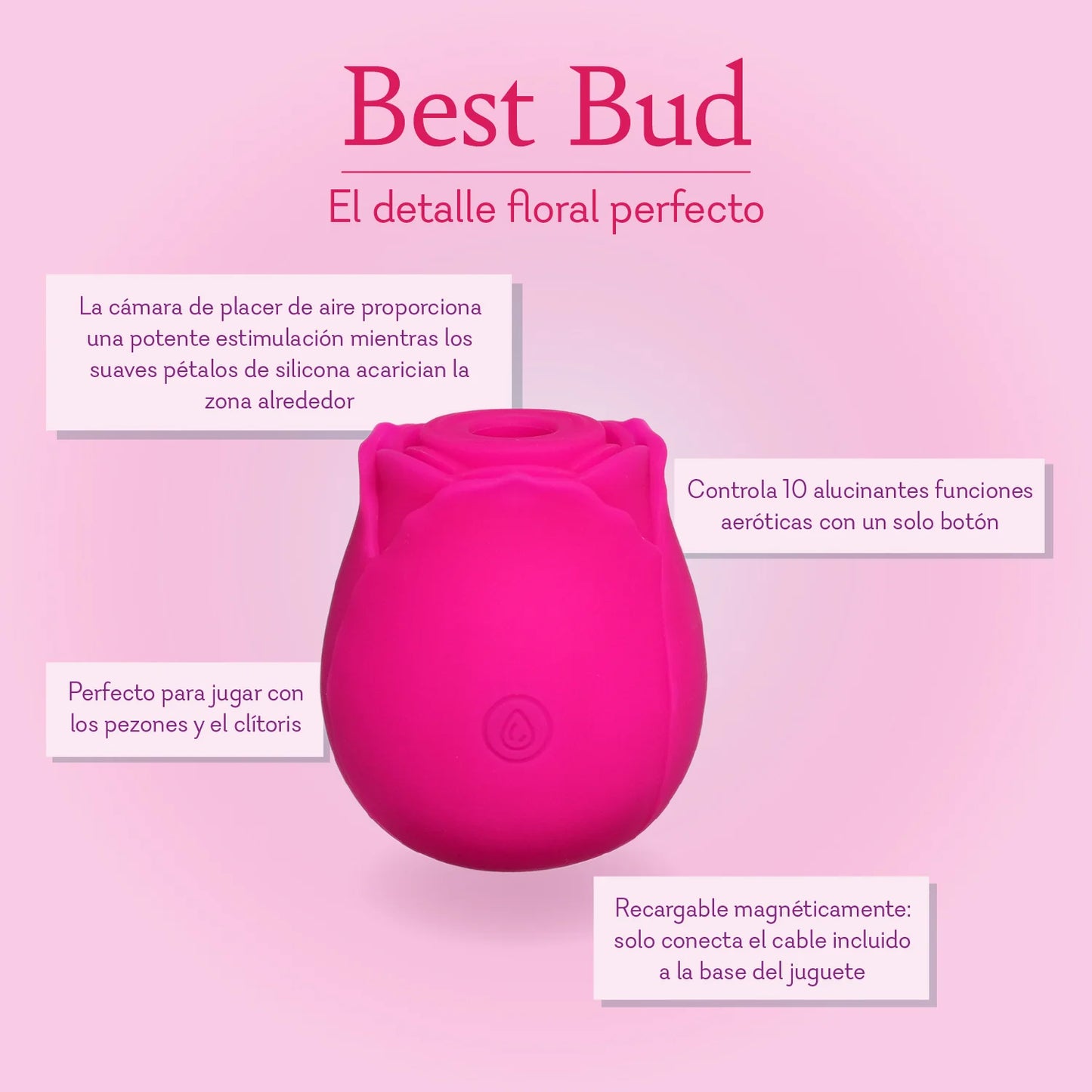 Best Bud Rose - NEW! - BEST SELLER!