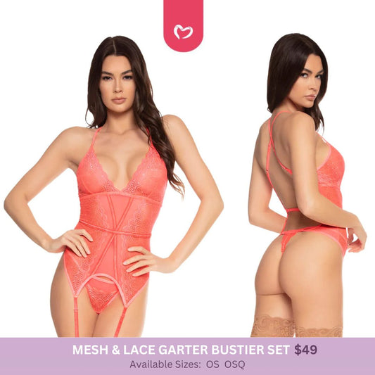 Mesh & Lace Garter Bustier Set - OSQ - TWO LEFT!