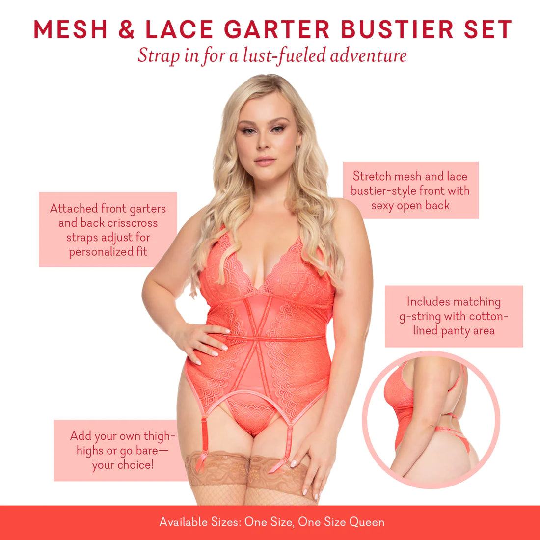 Mesh & Lace Garter Bustier Set - OSQ - 1 LEFT!