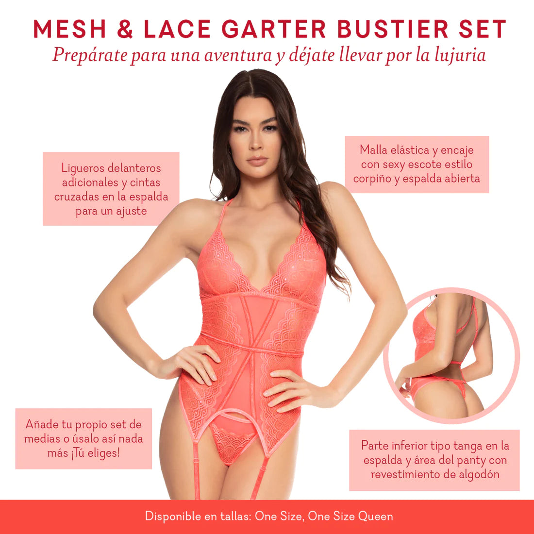 Mesh & Lace Garter Bustier Set - OSQ - 1 LEFT!