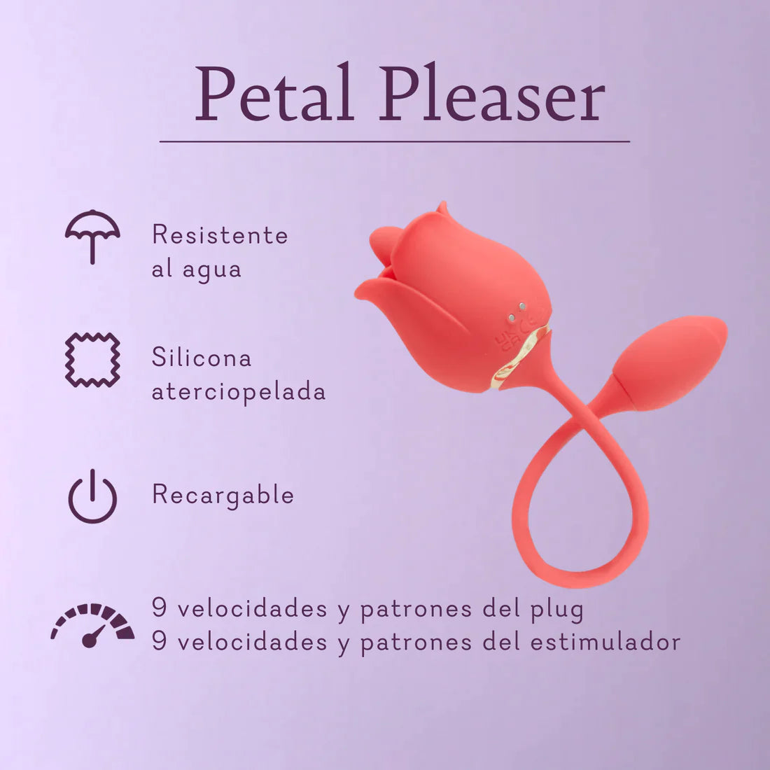 Petal Pleaser Rose - 12 LEFT!