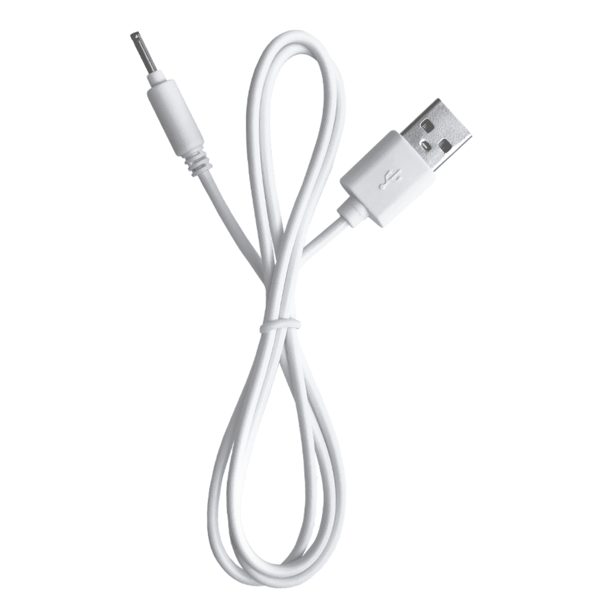 Womanizer Exclusive- USB Cord - 2 LEFT! – Pure Romance By ValGina